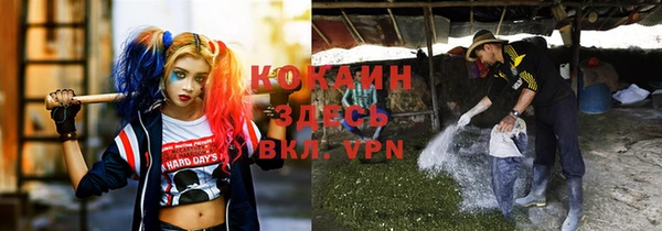 первитин Арсеньев