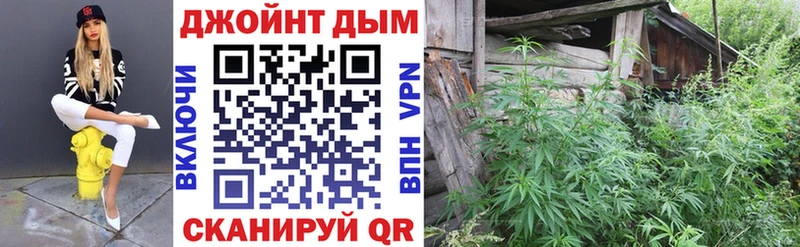 shop наркотические препараты  Судогда  МАРИХУАНА Amnesia  как найти  